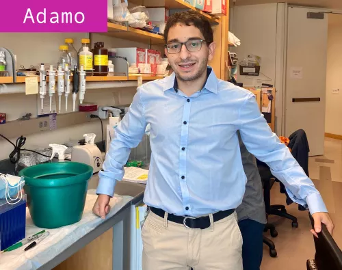 Adamo Mancino